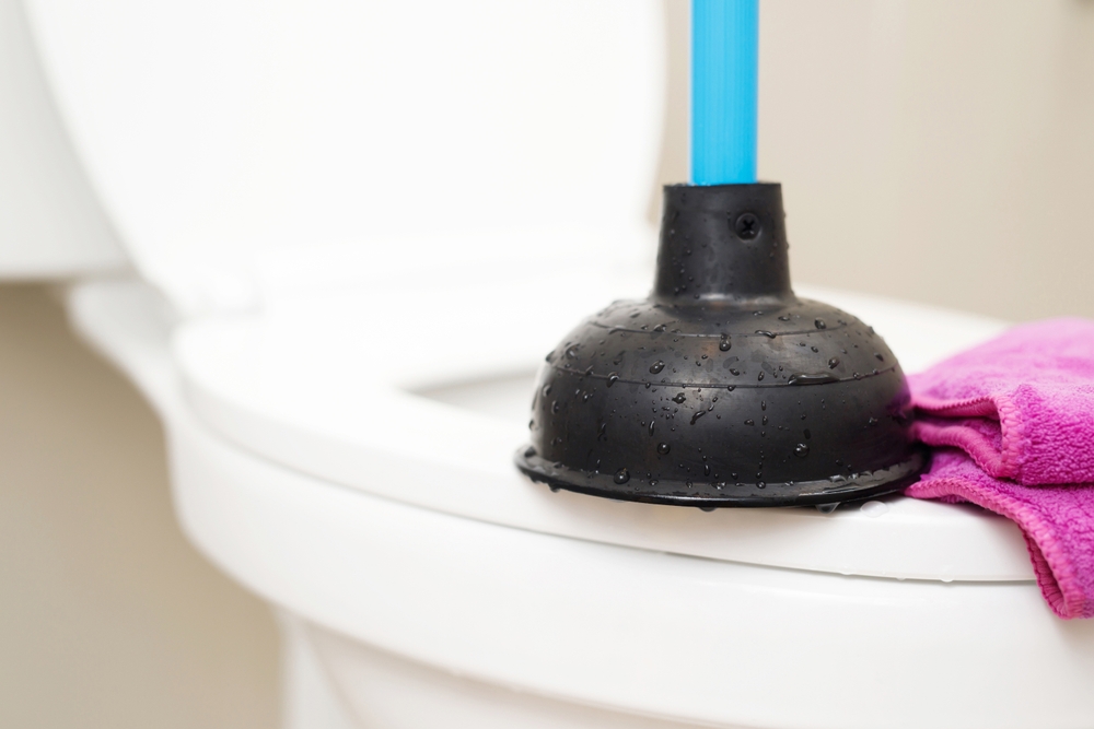 Blocked Toilet DIY Solutions | How to Unblock Toilet without Plumber